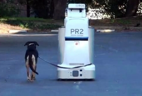 Szabadalmaztathatja a Toyota az ebsétáltató robotot, amely a kutyagumit is fel tudja szedni